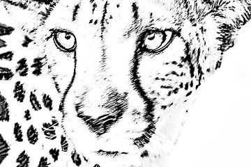 Cheetah of jachtluipaard, portret