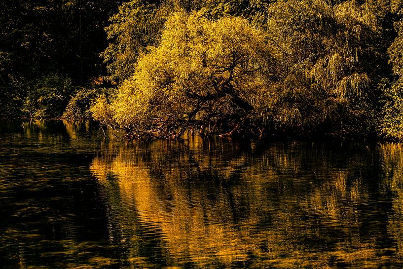 Spiegelung Baum im See von Dieter Walther