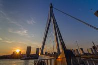 Erasmus bridge Rotterdam van Brandon Lee Bouwman thumbnail