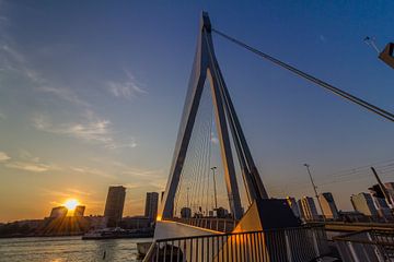 Erasmus bridge Rotterdam van Brandon Lee Bouwman