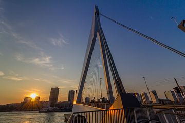 Erasmus bridge Rotterdam sur Brandon Lee Bouwman