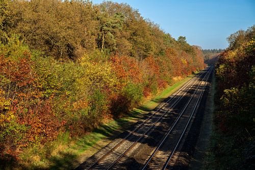 Herfstkleuren aan het spoor