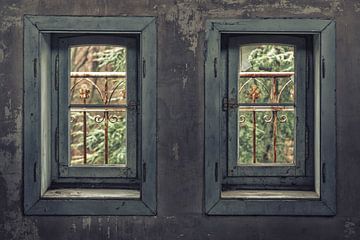 The windows by Martien Coolegem