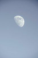 The Moon