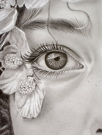 Eye Meets Blossom