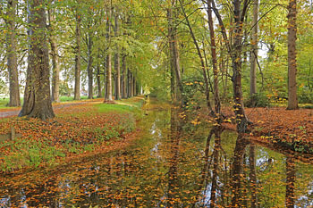 Verdwalen