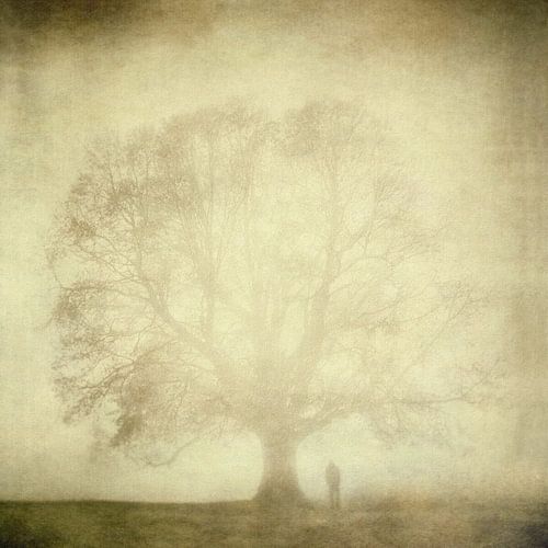 Ohne Titel von Topic