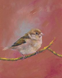 Spatzentreffen Teil eins