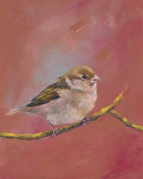 Sparrow bijeenkomst deel één van Karen Kaspar