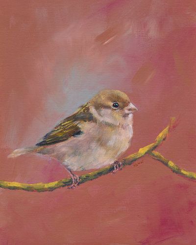 Sparrow bijeenkomst deel één