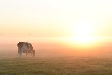 Lever de soleil féerique dans le campagne.