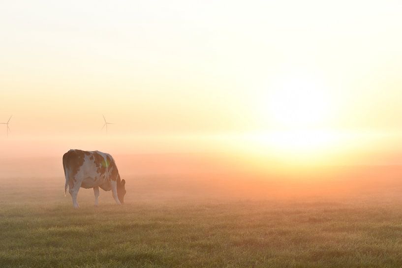 Lever de soleil féerique dans le campagne. par Shutterbalance