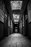 The Hallway. 