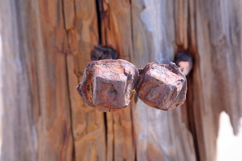 Rusty bolts by Ralph Jongejan