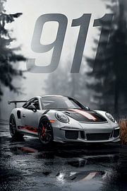 Grijze geest 911 van John Dan