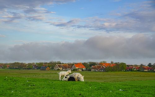 Terschelling op zijn mooist