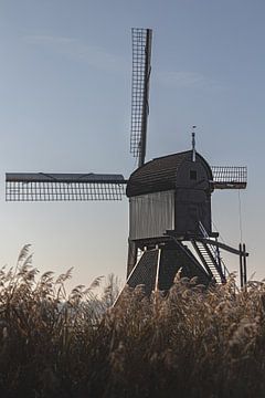 Le moulin Blokker / Rocker sur Cindy Dijksman