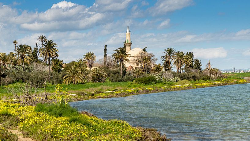 Salt Lake of Larnaca, Cyprus by Adelheid Smitt