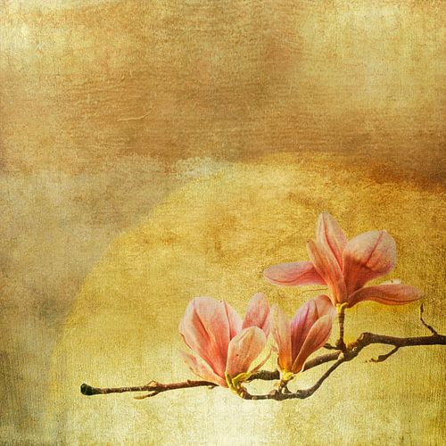 Magnoliaboom met gouden folie op beschilderd canvas in Japan