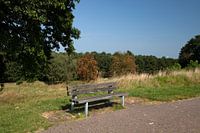 Die Natur entdecken in einem Waldgebiet im Emsland, Niedersachsen, Deutschland