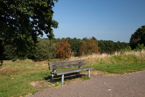 Ontdek de natuur in een bosrijk gebied in Emsland, Nedersaksen, Duitsland