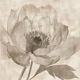 Bloemen Schilderij | Sepia Whispers van Modern Collection