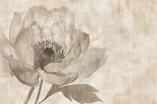Peinture de fleurs | Sepia Whispers