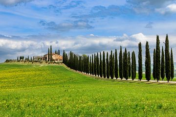 Lente in Toscane van Dirk Rüter