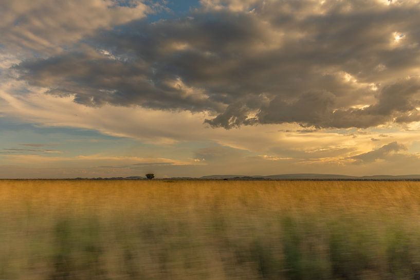 Beweging by Gonda van Wijk