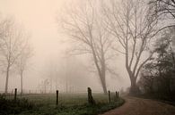 Fog by Paul Arentsen thumbnail