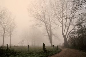 Brouillard sur Paul Arentsen