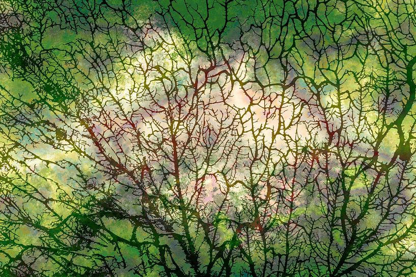 Forêt scandinave verte II par Mad Dog Art