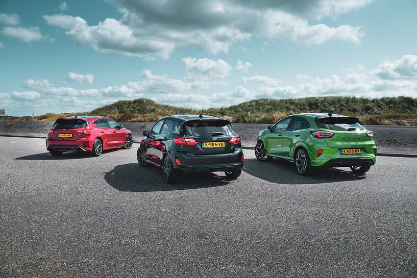 Ford ST performance wolfpack by Sytse Dijkstra