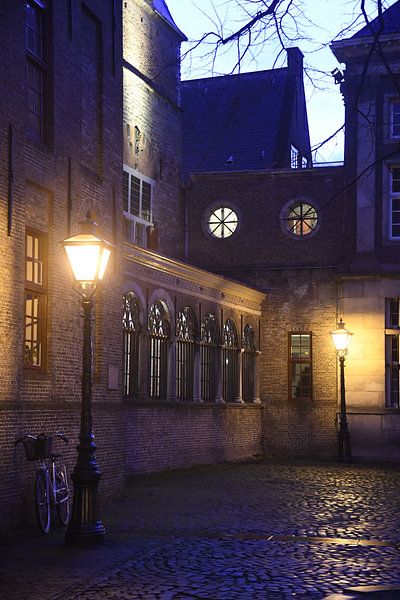 Lanterns Leiden by Pauline Bergsma