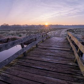Zonsopkomst bij de Reest van Douwe Schut