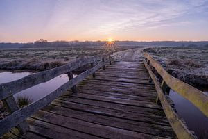 Lever de soleil au Reest
