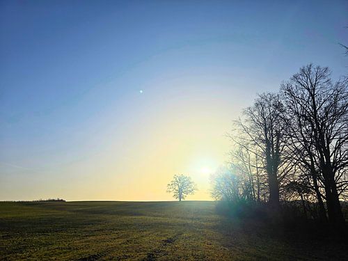 Guten Morgen, Sonnenschein