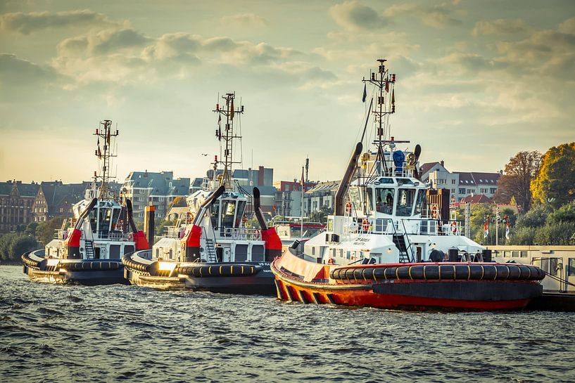 Sleepboten in de haven van Hamburg van Sabine Wagner