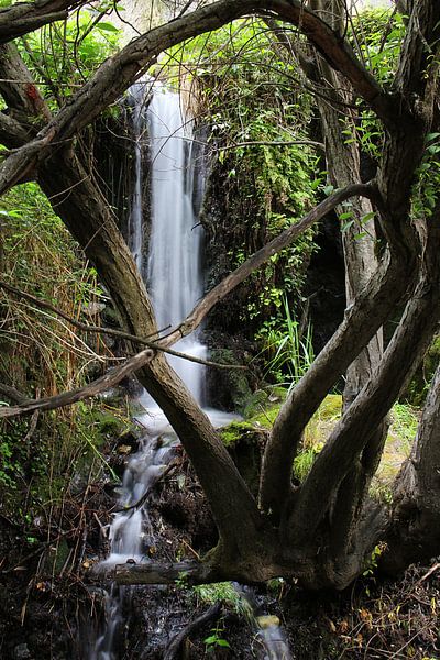 Monachil waterfall by Cornelis (Cees) Cornelissen