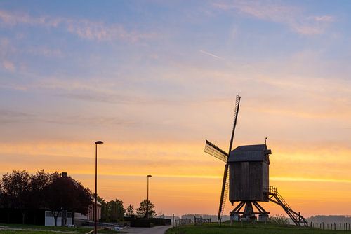 De Windekemolen in de ochtend.