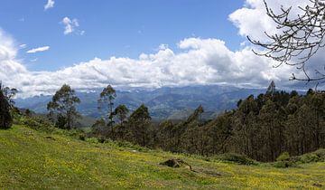 Panorama des Picos de Europa sur Peter Haastrecht, van
