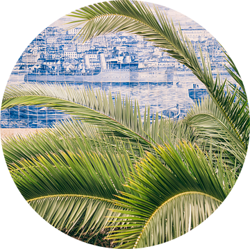 Palmboom op Blauw Wit van Patrycja Polechonska