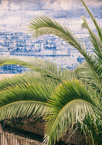 Palmboom op Blauw Wit