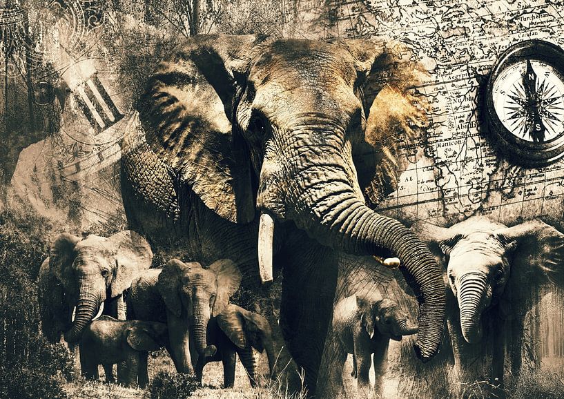 Éléphant vintage par Bert Hooijer