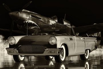 Ford Thunderbird Family Sports Car From The Fifties by Jan Keteleer