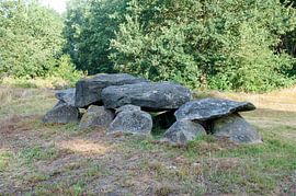 Dolmenbett D41 von Richard Wareham