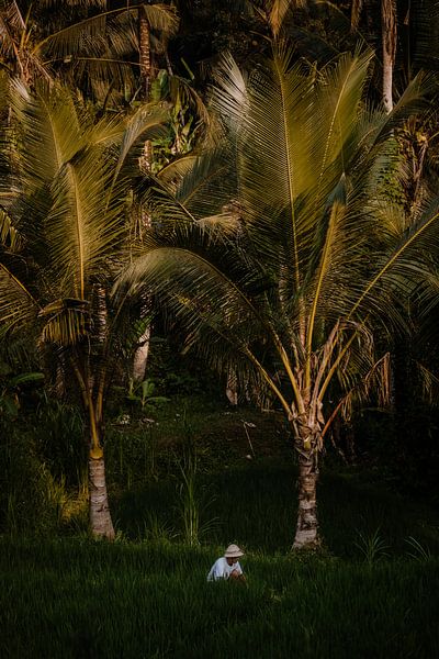 Leben auf Bali von Anouk Strijbos