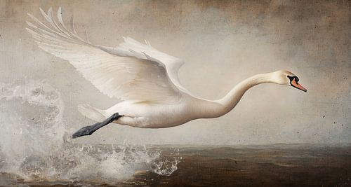 Flying Swan