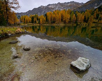 L'étonnante Palpuognasee en Suisse