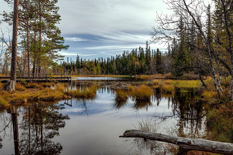 Schweden im Herbst von Thomas Heins